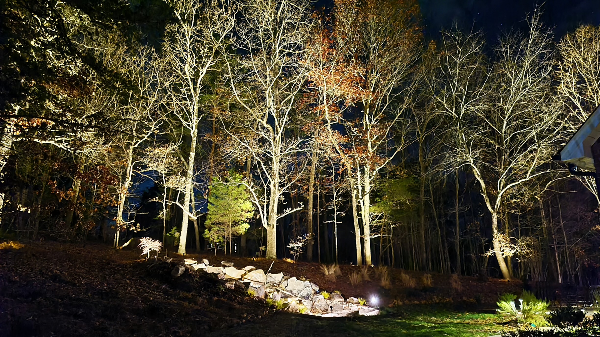 Charlotte landscape lighting moon lighting