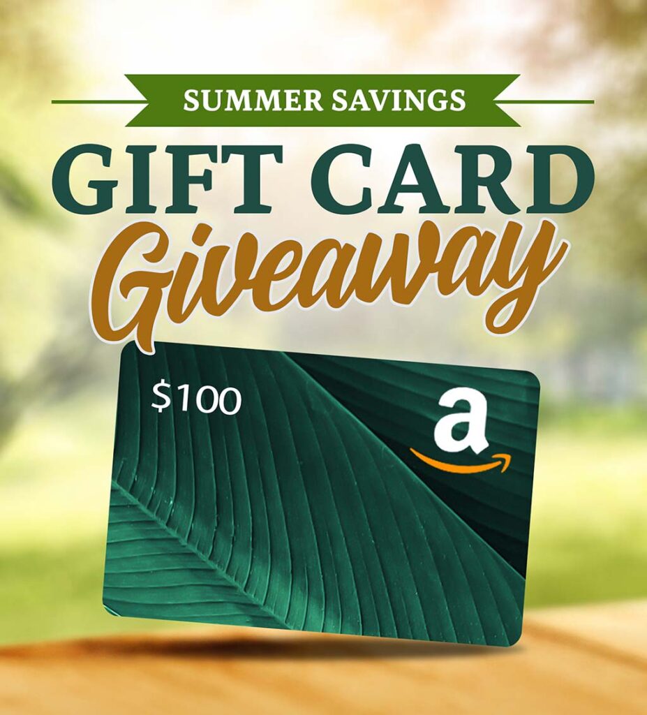 Summer Savings Gift Card Giveaway