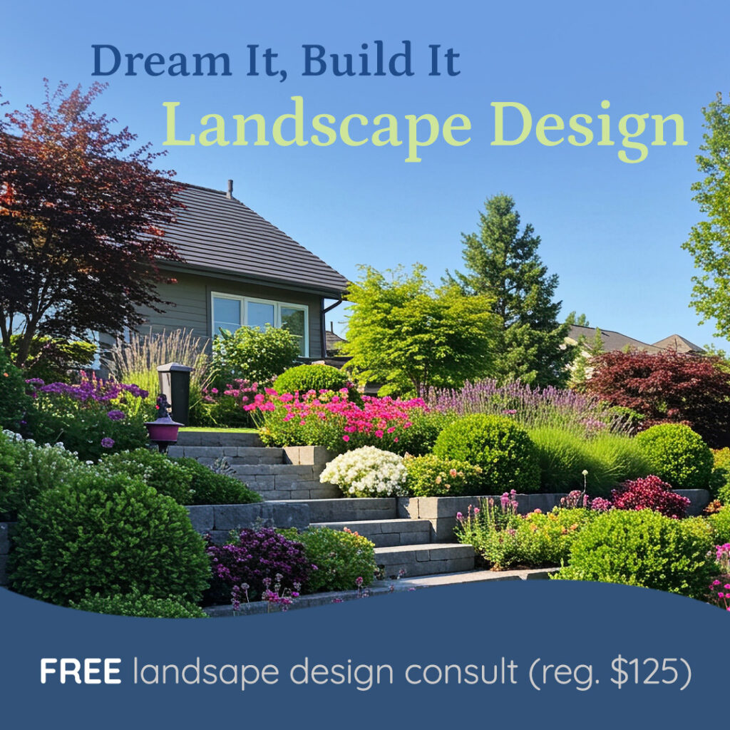 Dream It, Build It Landscape Design free landscape design consult (reg. $125) house with impressive landscape Charlotte