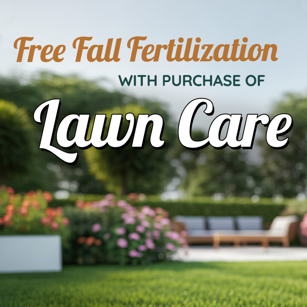 Free fall fertilization with purchase of lawn care Charlotte