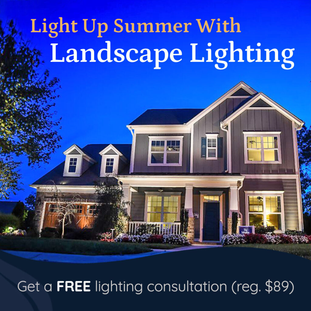 Light-up-summer-with-landscape-lighting