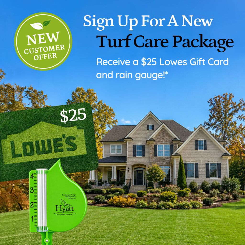 turf care offer